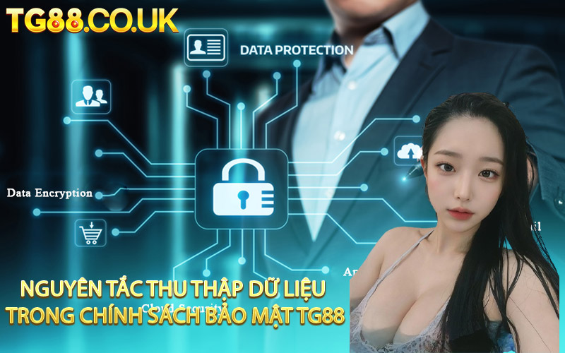 Nguyên Tắc Thu Thập Dữ Liệu Trong Chính Sách Bảo Mật TG88